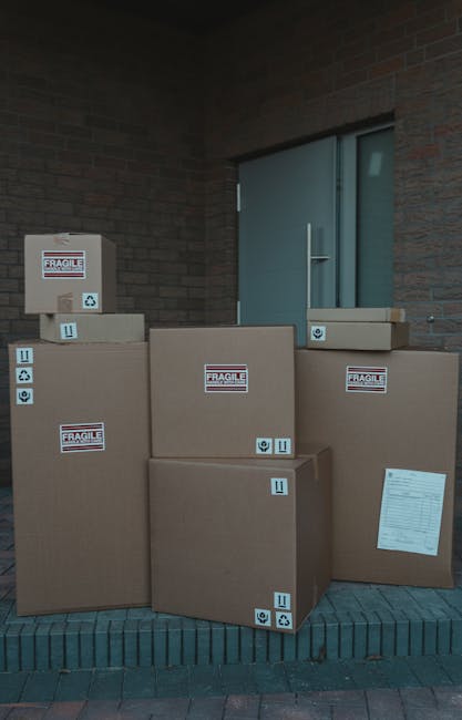 A clear, well-lit scene of a house interior during a home relocation process showing a professional removals team loading cardboard boxes, furniture, and plastic-wrapped items onto a van parked outsid